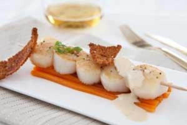 Scallop